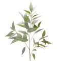 Floristik24 Ramo artificiale di eucalipto, verde naturale, decorativo, 100 cm