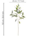 Ramo artificiale di eucalipto, verde naturale, decorativo, 100 cm | Floristik24.it