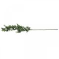 Floristik24 Ramo di eucalipto decorativo ramo di eucalipto artificiale 75 cm