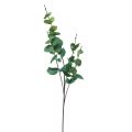 Floristik24 Ramo di eucalipto artificiale eucalipto verde 64 cm