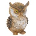 Floristik24 Statuetta di gufo, piccolo gufo seduto, decorazione, 11 cm