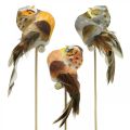 Floristik24 Deco plug gufo, decorazione floreale, gufo con piume H5,5cm 6pz