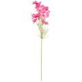 Floristik24 Cesto per gioielli Cosmea Kosmee fiore artificiale rosa 75 cm