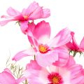 Floristik24 Cesto per gioielli Cosmea Kosmee fiore artificiale rosa 75 cm