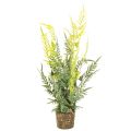 Floristik24 Pianta di felce artificiale con zolla di radici per decorazione di casa e ufficio, 57 cm