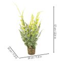 Pianta di felce artificiale con zolla di radici per decorazione di casa e ufficio, 57 cm | Floristik24.it