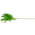 Floristik24 Foglie di felce verde, foglie di felce 3 su ramo, Milkweed L96cm
