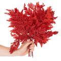 Fronde di felce conservate e tinte, vere felci per composizioni autunnali, 42 cm, 10 pezzi | Floristik24.it