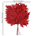 Fronde di felce conservate e tinte, vere felci per composizioni autunnali, 42 cm, 10 pezzi | Floristik24.it