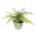 Floristik24 Felce artificiale in vaso per soggiorno e ufficio, 35 cm