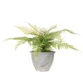 Felce artificiale in vaso per soggiorno e ufficio, 35 cm | Floristik24.it