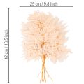 Decorazione di felci essiccate per vaso da 42 cm, 10 pezzi | Floristik24.it