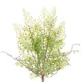 Floristik24 Ramo artificiale di Ruscus verde per decorazioni floreali, 41 cm