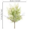 Ramo artificiale di Ruscus verde per decorazioni floreali, 41 cm | Floristik24.it