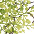 Ramo artificiale di Ruscus verde per decorazioni floreali, 41 cm | Floristik24.it