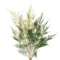 Floristik24 Decorazione artificiale a forma di ramo di felce, verde, realistica, 56 cm