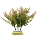 Floristik24 Felce artificiale pianta artificiale felce ramo decorativo 36 cm 3 pezzi