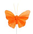 Floristik24 Farfalla piuma 8cm arancione 24 pezzi