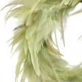 Floristik24 Ghirlanda di piume decorativa verde Ø16cm ghirlanda di piume vera decorazione primaverile