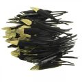 Floristik24 Piume decorative nere, piume vere dorate per l&#39;artigianato 12-14 cm 72 pezzi