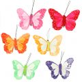 Floristik24 Farfalle con piume su clip multicolore 7cm 12 pezzi