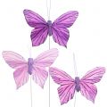 Floristik24 Farfalle di piume viola 8,5 cm 12 pezzi