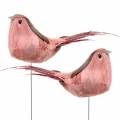 Floristik24 Uccello piuma su filo rosa 12cm 4pz