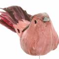 Floristik24 Uccello piuma su filo rosa 12cm 4pz