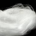 Floristik24 Capelli di fata capelli d&#39;angelo bianchi lucidi 50g
