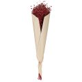 Lino rosso bordeaux, decorazione essiccata, fiori secchi L55cm 80g | Floristik24.it