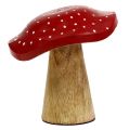 Floristik24 Fly Agaric Wood Mushroom Mix 9cm -10,5cm Red, Natural 8pcs