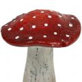 Floristik24 Funghi in ceramica rosso, bianco H12,5cm 2 pezzi