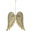 Floristik24 Ali d&#39;angelo decorazioni natalizie, decorazioni in metallo, ali da appendere dorate, aspetto antico H29,5 cm L28,5 cm