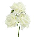 Floristik24 Rosa di schiuma Ø7,5cm Crema 18 pezzi
