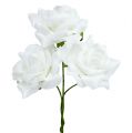 Floristik24 Rosa in schiuma Ø 7,5 cm bianca 18 pezzi