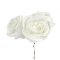 Floristik24 Schiuma rosa bianca con madreperla Ø7,5cm 12p