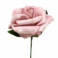 Floristik24 Rosa schiuma Ø3,5cm rosa antico 48p