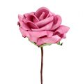 Floristik24 Rosa in schiuma Ø7,5 cm rosa 18p