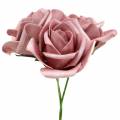 Floristik24 Rosa schiuma Ø7,5cm rosa antico 18p
