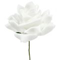 Floristik24 Rose in schiuma bianche Ø10 cm 8 pezzi