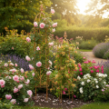 Traliccio da giardino, supporto per piante rampicanti come rose e altre piante, ideale per il design del giardino, 108 cm, set da 2. | Floristik24.it