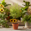 Ramo artificiale di Ruscus verde per decorazioni floreali, 41 cm | Floristik24.it