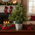 Rami artificiali di abete verde per decorazioni invernali, 25 cm, 24 pezzi | Floristik24.it