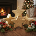 Supporto decorativo a forma di stella natalizia per tavolo o mensola, 10 cm, 3 pezzi | Floristik24.it