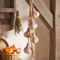 Decorazione a forma di aglio da appendere, artificiale, giallo-viola, lunghezza 50 cm | Floristik24.it