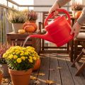 Annaffiatoio da 5 litri | Floristik24.it