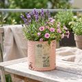 Vaso da fiori decorativo in metallo color salmone, decorazione estiva Ø11cm H10.5cm | Floristik24.it