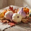 Decorazione vegetale aglio giallo viola in rete Ø4,5 cm 12 pezzi | Floristik24.it