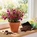 Terriccio per vasi FlorBest con argilla naturale e fertilizzante a lento rilascio, 5 l | Floristik24.it