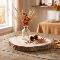 Fetta di albero di Paulownia Ø20-25cm fetta decorativa in legno naturale | Floristik24.it